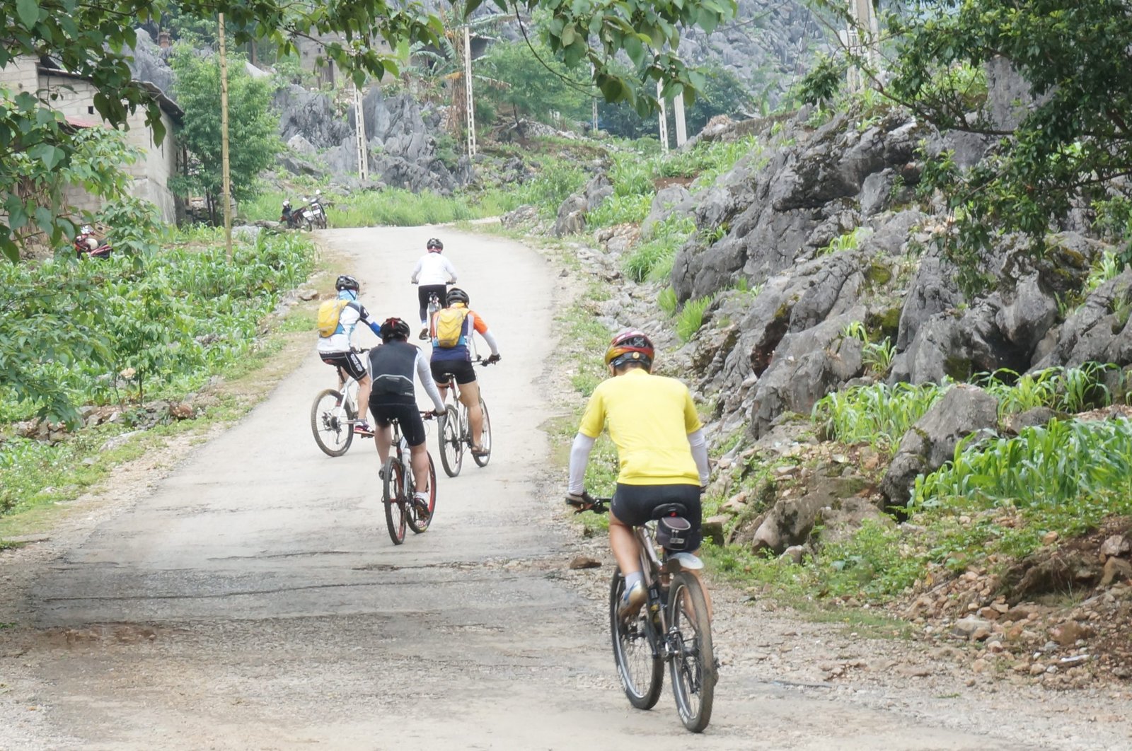 10-Day Ha Giang Loop & Hoang Su Phi Cycling Adventure